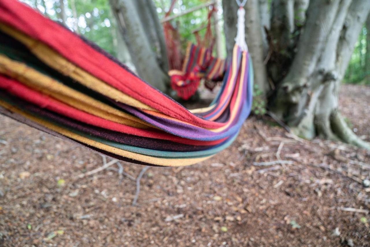 Gite Calypso De 14 Personnes Fecamp Etretat Colleville Buitenkant foto